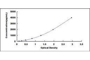 Superoxide Dismutase 2, Mitochondrial (SOD2) ELISA Kit