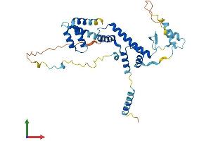 Protein Structure (PS) image for Transcriptional Adaptor 1 (TADA1) (AA 1-335) protein (His tag) (ABIN7544262)