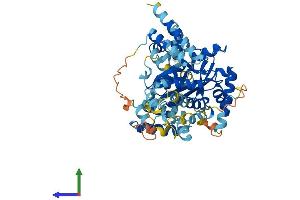 AlphaFold protein structure predicition of Human Recombinant JRKL Protein, UniprotID Q9Y4A0 (JRKL Protein (AA 1-524) (His tag))