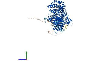 Protein Structure (PS) image for Cap Methyltransferase 1 (CMTR1) (AA 1-837) protein (His tag) (ABIN7565005)