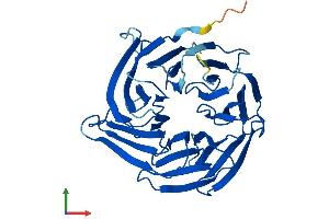 Protein Structure (PS) image for Nucleoporin 37kDa (NUP37) (AA 1-326) protein (His tag) (ABIN7550275)