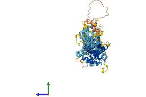 Protein Structure (PS) image for Fanconi Anemia, Complementation Group C (FANCC) (AA 1-591) protein (His tag) (ABIN7563371)