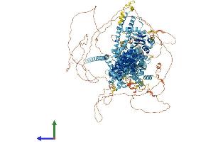 Protein Structure (PS) image for Transient Receptor Potential Cation Channel, Subfamily M, Member 1 (TRPM1) (AA 1-1622) protein (His tag) (ABIN7563654)