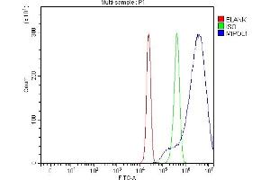 Flow Cytometry analysis of HepG2 cells using anti-MIPOL1 antibody (ABIN7602207). (MIPOL1 抗体  (AA 63-399))