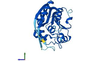 Protein Structure (PS) image for Methyltransferase Like 5 (METTL5) (AA 1-209) protein (His tag) (ABIN7559465)