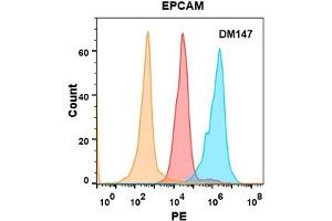 EPCAM protein is highly expressed on the surface of Expi293 cell membrane. (EpCAM 抗体  (AA 24-314))