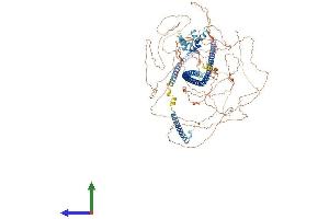 Protein Structure (PS) image for RAB11 Family Interacting Protein 3 (Class II) (RAB11FIP3) (AA 1-1047) protein (His tag) (ABIN7564582)