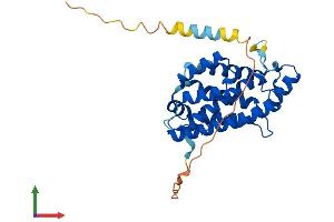AlphaFold protein structure predicition of Human Recombinant GLTPD2 Protein, UniprotID A6NH11