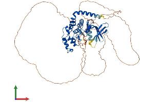 Protein Structure (PS) image for Cyclin-Dependent Kinase-Like 3 (CDKL3) (AA 1-592) protein (His tag) (ABIN7553114)
