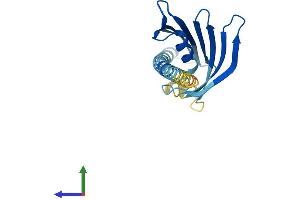 Protein Structure (PS) image for Slowmo Homolog 2 (SLMO2) (AA 1-194) protein (His tag) (ABIN7550871)