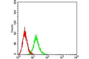 Flow cytometric analysis of Ramos cells using CD107b mouse mAb (green) and negative control (red). (LAMP2 抗体  (AA 29-168))