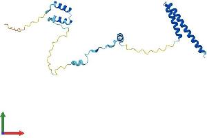 AlphaFold protein structure predicition of Human Recombinant C22orf23 Protein, UniprotID Q9BZE7