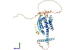 AlphaFold protein structure predicition of Mouse Recombinant Septin4 Protein, UniprotID P28661