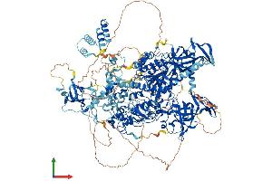 AlphaFold protein structure predicition of Human Recombinant DNMT1 Protein, UniprotID P26358