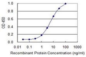 Detection limit for recombinant GST tagged BGLAP is 0. (Osteocalcin 抗体  (AA 52-100))