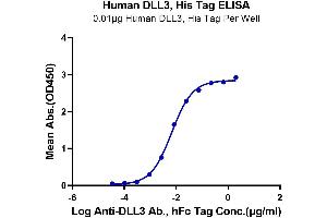 ELISA image for delta Like Protein 3 (DLL3) (AA 27-490) protein (His tag) (ABIN7274482)