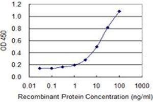 Detection limit for recombinant GST tagged MT2A is 0. (MT2A 抗体  (AA 1-61))