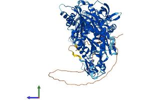 AlphaFold protein structure predicition of Human Recombinant PIWIL1 Protein, UniprotID Q96J94