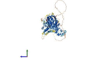 Protein Structure (PS) image for IQ Motif Containing H (IQCH) (AA 1-1027) protein (His tag) (ABIN7554211)