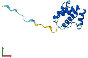 Protein Structure (PS) image for Placenta-Specific 8 (PLAC8) (AA 1-112) protein (His tag) (ABIN7561531)