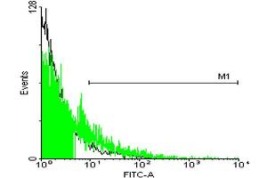 FACS analysis of 293 cells stained with STIP1 monoclonal antibody clone 2E11 (Green) and non-stained 293 cells (Black) as negative control. (STIP1 抗体  (AA 1-543))