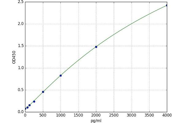 CA6 ELISA 试剂盒