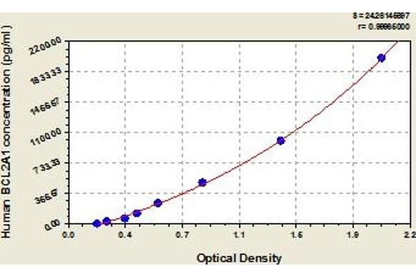 BCL2A1 ELISA 试剂盒