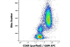 Flow cytometry surface staining pattern of human peripheral whole blood stained using anti-human CD65 (VIM8) purified antibody (concentration in sample 5 μg/mL, GAM APC). (CD65 抗体)