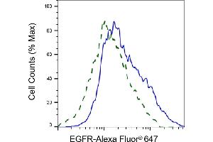 Validation of EGFR knockdown using flow cytometry. (Recombinant EGFR 抗体)