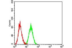 Flow cytometric analysis of Ramos cells using CD154 mouse mAb (green) and negative control (red).