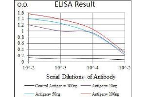 Black line: Control Antigen (100 ng), Purple line: Antigen(10 ng), Blue line: Antigen (50 ng), Red line: Antigen (100 ng), (Dynactin 4 抗体  (AA 57-298))