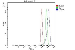 Flow Cytometry analysis of PC-3 cells using anti-Wnt7a antibody (ABIN3042348).