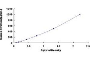 Typical standard curve (FGF11 ELISA 试剂盒)