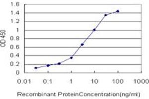 Detection limit for recombinant GST tagged NKIRAS1 is approximately 0. (NKIRAS1 抗体  (AA 1-100))
