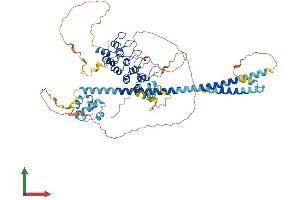 Protein Structure (PS) image for Ankyrin Repeat and SAM Domain-Containing Protein 3 (ANKS3) (AA 1-656) protein (His tag) (ABIN7552153)