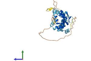 Protein Structure (PS) image for Kv Channel Interacting Protein 2 (KCNIP2) (AA 1-270) protein (His tag) (ABIN7548808)