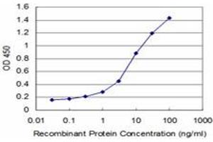 Detection limit for recombinant GST tagged FOXF2 is approximately 0. (FOXF2 抗体  (AA 346-443))