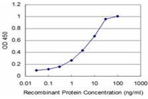 Detection limit for recombinant GST tagged PTF1A is approximately 0. (PTF1A 抗体  (AA 250-328))