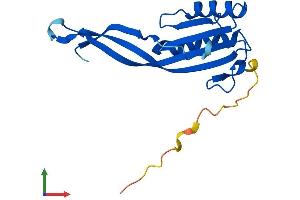 Protein Structure (PS) image for Ribonuclease P/MRP 25 Subunit-Like (RPP25L) (AA 1-163) protein (His tag) (ABIN7560311)