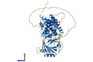 Protein Structure (PS) image for AlkB, Alkylation Repair Homolog 8 (ALKBH8) (AA 1-664) protein (His tag) (ABIN7564292)