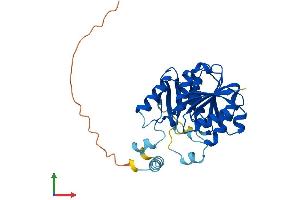 AlphaFold protein structure predicition of Mouse Recombinant Camkmt Protein, UniprotID Q3U2J5 (Calmodulin-Lysine N-Methyltransferase (CAMKMT) (AA 1-323) protein (His tag))