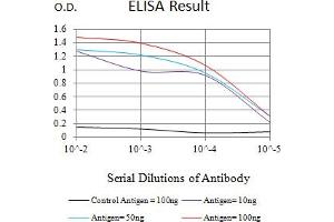 Black line: Control Antigen (100 ng),Purple line: Antigen (10 ng), Blue line: Antigen (50 ng), Red line:Antigen (100 ng) (NEUROD1 抗体  (AA 26-91))