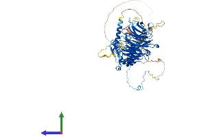 Protein Structure (PS) image for Dynein, Axonemal, Intermediate Chain 1 (DNAI1) (AA 1-699) protein (His tag) (ABIN7547139)