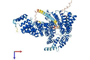 NAA15 Protein (AA 1-866) (His tag)