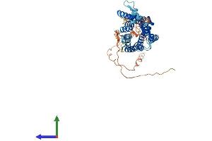 AlphaFold protein structure predicition of Human Recombinant TACR3 Protein, UniprotID P29371