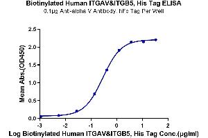 Immobilized Anti-alpha V Antibody, hFc Tag at 1 μg/mL (100 μL/well) on the plate. (ITGAV/ITGB5 Protein (AA 31-992) (His-Avi Tag,Biotin))