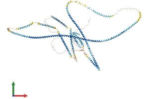 Protein Structure (PS) image for ELKS/RAB6-Interacting/CAST Family Member 1 (ERC1) (AA 1-1116) protein (His tag) (ABIN7555123)