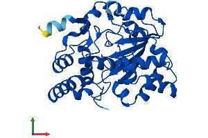 Protein Structure (PS) image for Sulfotransferase Family 1E Member 1 (SULT1E1) (AA 1-294) protein (His tag) (ABIN7546322)
