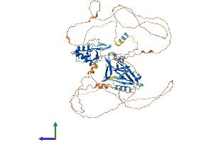 AlphaFold protein structure predicition of Human Recombinant DVL1 Protein, UniprotID O14640