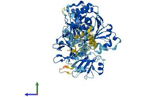Protein Structure (PS) image for Solute Carrier Family 27 (Fatty Acid Transporter), Member 5 (SLC27A5) (AA 1-690) protein (His tag) (ABIN7555384)